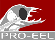 Pro-eel larva header.