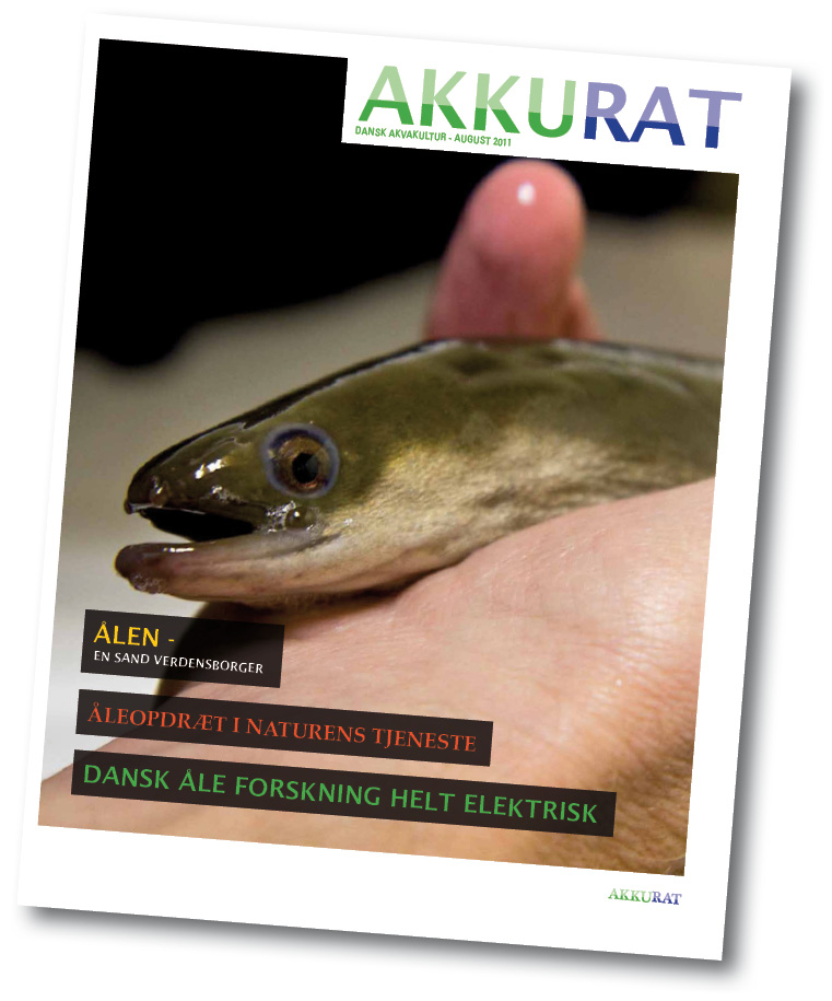 /-/media/sites/pro-eel/dissemination/popular-scientific-publications/akkurat3.jpg
