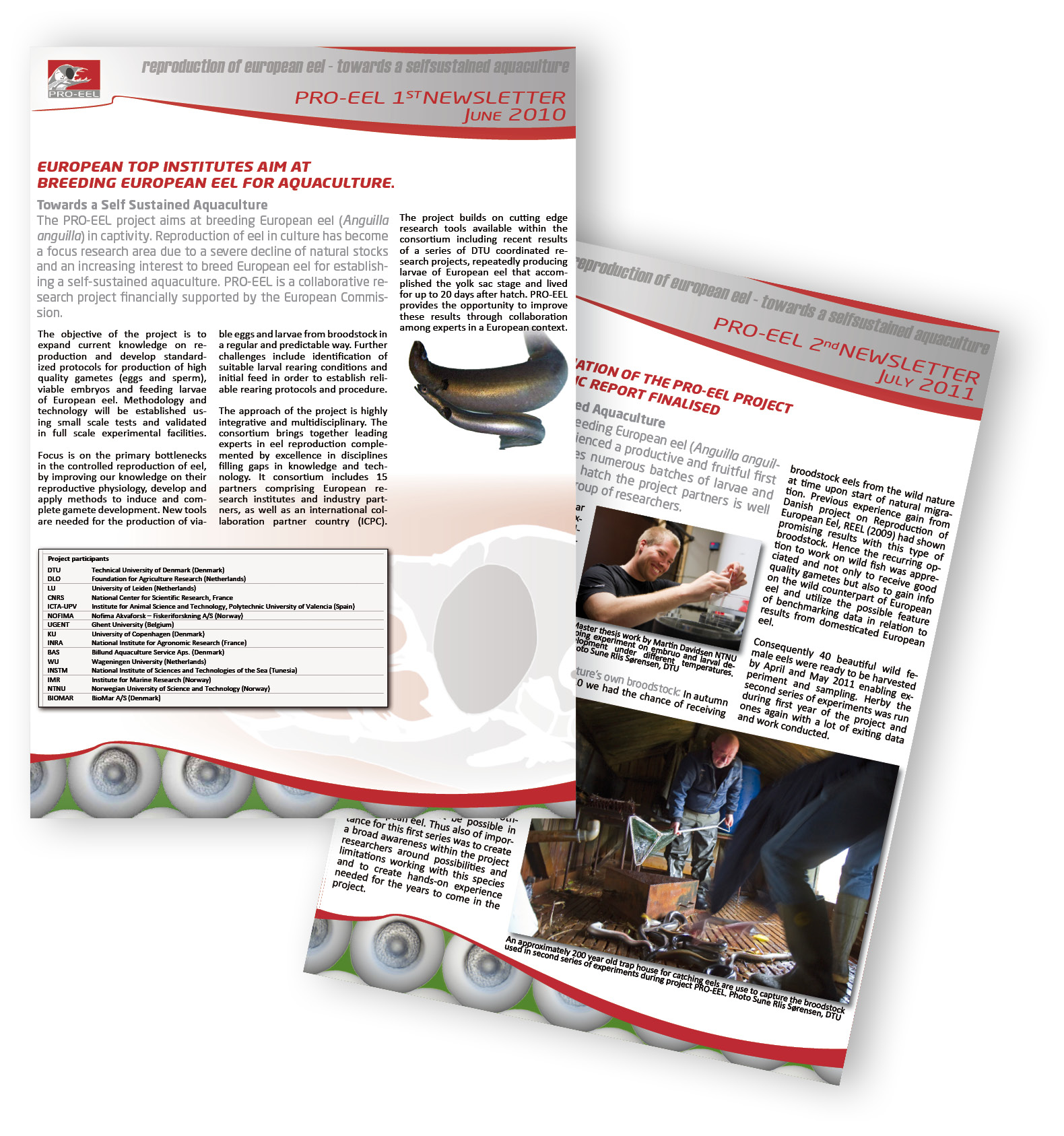 d11.4 bianual newsletter.jpg