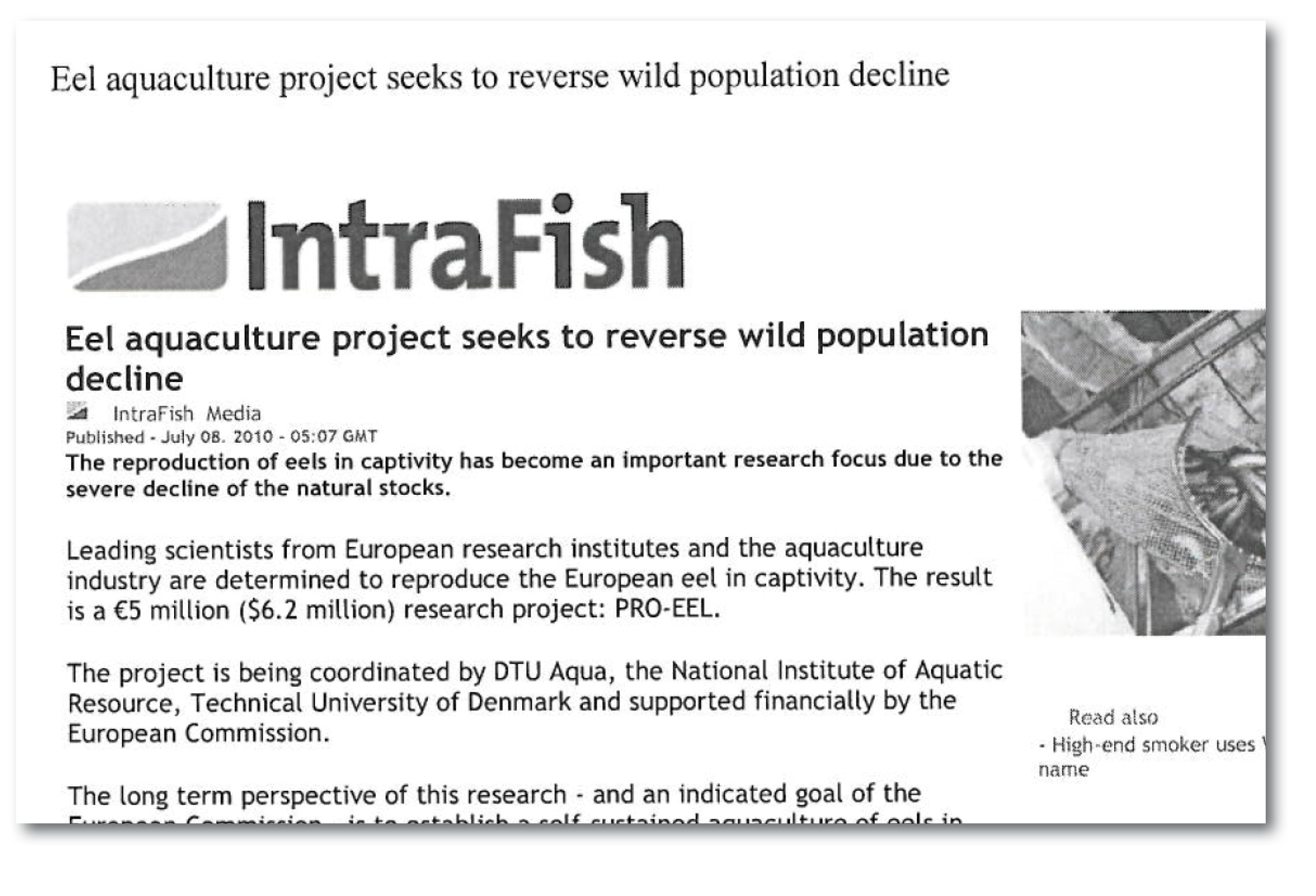 intrafish 08072010.jpg