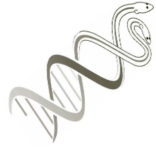 Eel Genome LU